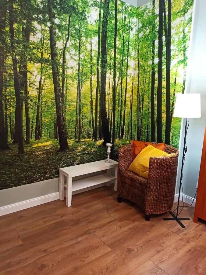 Apartament Rozeta Centrum 6Os Legnica Luaran gambar