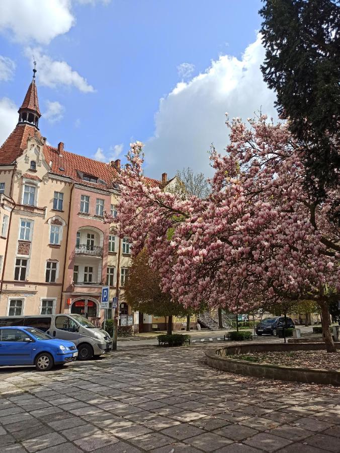 Apartament Rozeta Centrum 6Os Legnica Luaran gambar