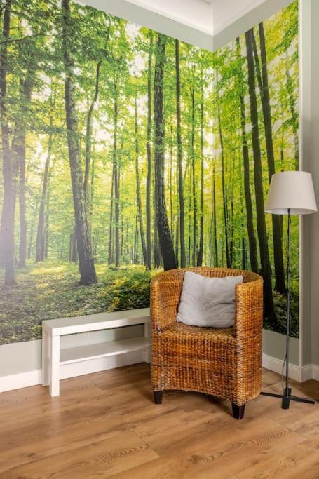 Apartament Rozeta Centrum 6Os Legnica Luaran gambar